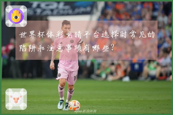 世界杯体彩竞猜平台选择时常见的陷阱和注意事项有哪些？