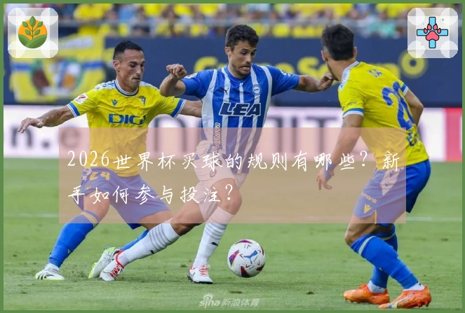 2026世界杯买球的规则有哪些？新手如何参与投注？