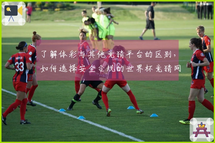 了解体彩与其他竞猜平台的区别，如何选择安全合规的世界杯竞猜网站？