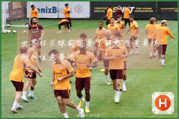 世界杯买球前需要了解哪些重要规则和注意事项