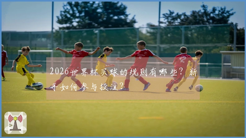 2026世界杯买球的规则有哪些？新手如何参与投注？